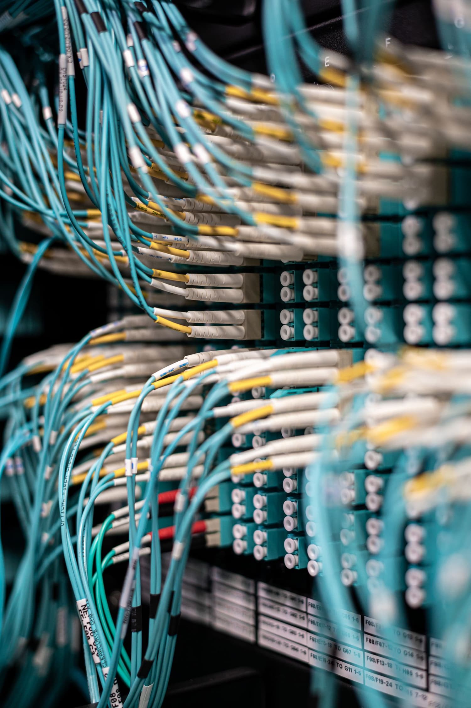 Neatly bundled and labeled low-voltage structured wiring panel in a new-construction Utah home